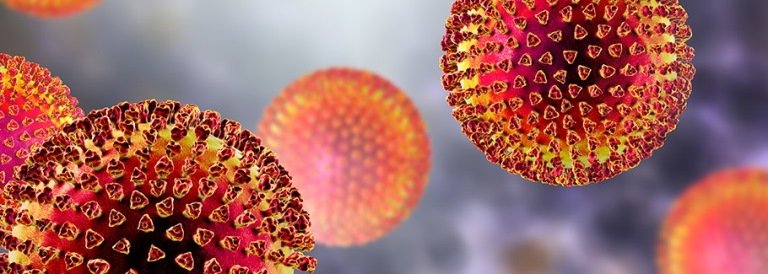 3 Coronavirus 2019-nCoV. Cosa è stato fatto all'inizio?