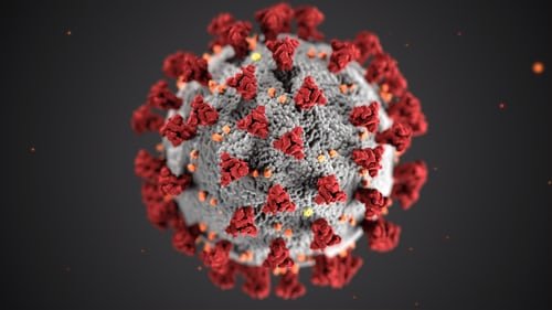 1 Coronavirus 2019-nCoV. Cosa è stato fatto all'inizio?